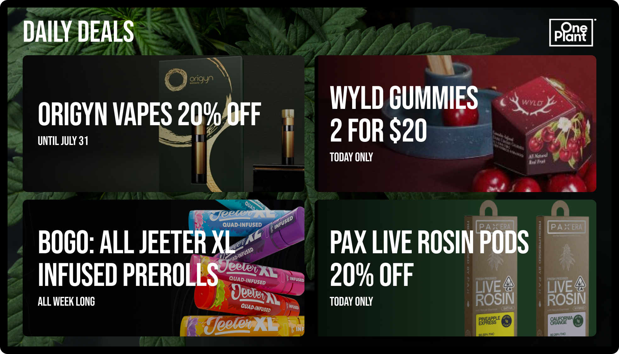 Seed Signage Lookbook - Specials Dutchie 4 Card Menu