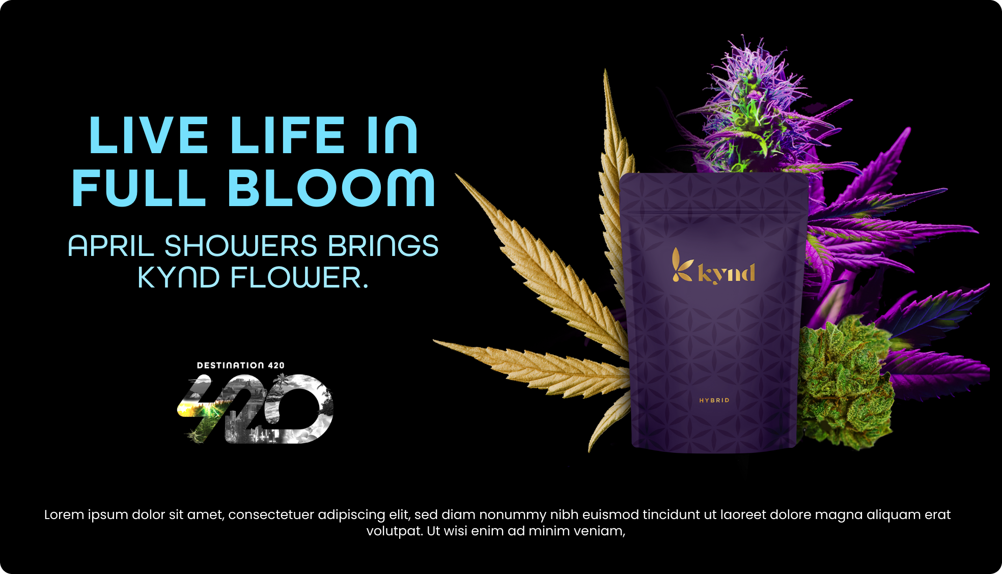 in-store product placement on TV menus at a cannabis dispensary - Kynd flower
